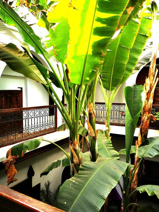Riad Mehdia Марракеш Екстер'єр фото